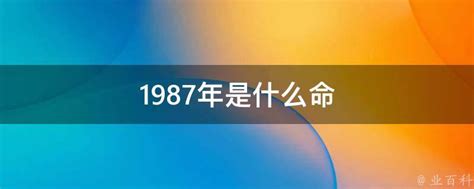 1987年是什么命|1987年属什么 1987年是什么命